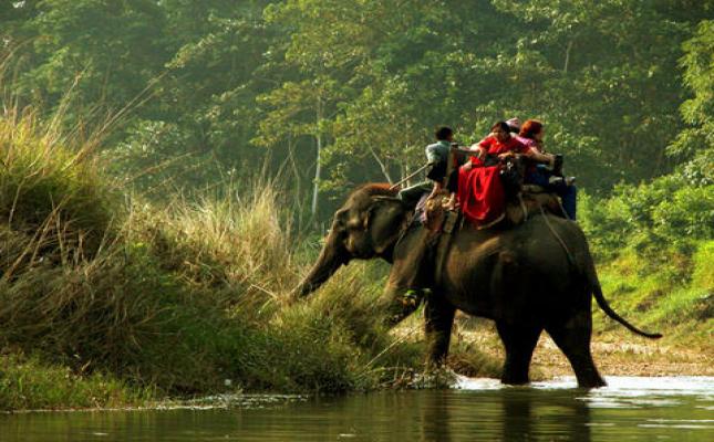 Chitwan Day Tour 