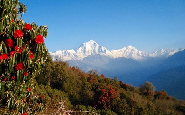 Rapid Poonhill Trek-2 days