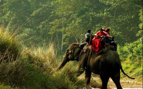 Kathmandu- Chitwan Tour- 6 days