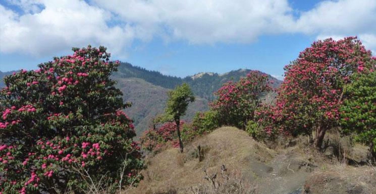 Ghorepani Poon Hill Trek