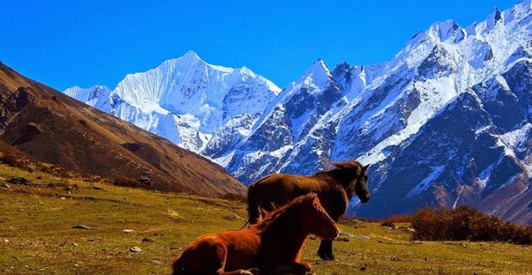 Langtang Valley Trek