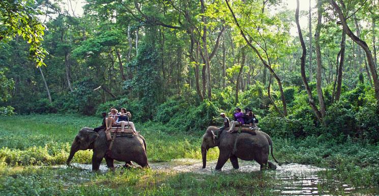 Kathmandu - Chitwan - Pokhara - Ghorepani Tour