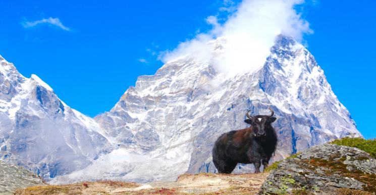 Everest Base Camp Trekking 16 Days