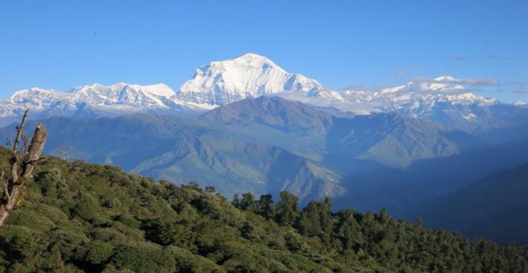 Ghorepani Poon Hill Trek